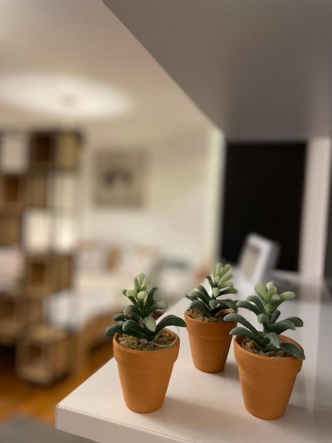 Tampa Residence Braşov Buitenkant foto